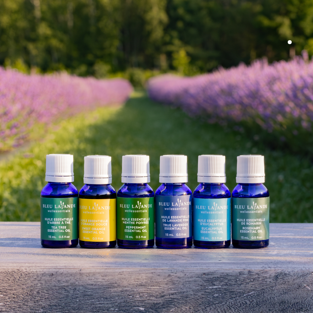 Guide complet des huiles essentielles : comment choisir celle qui vous convient le mieux ?