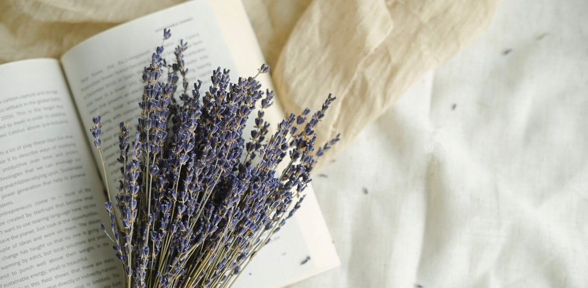 Guide cadeau St-Valentin Bleu Lavande