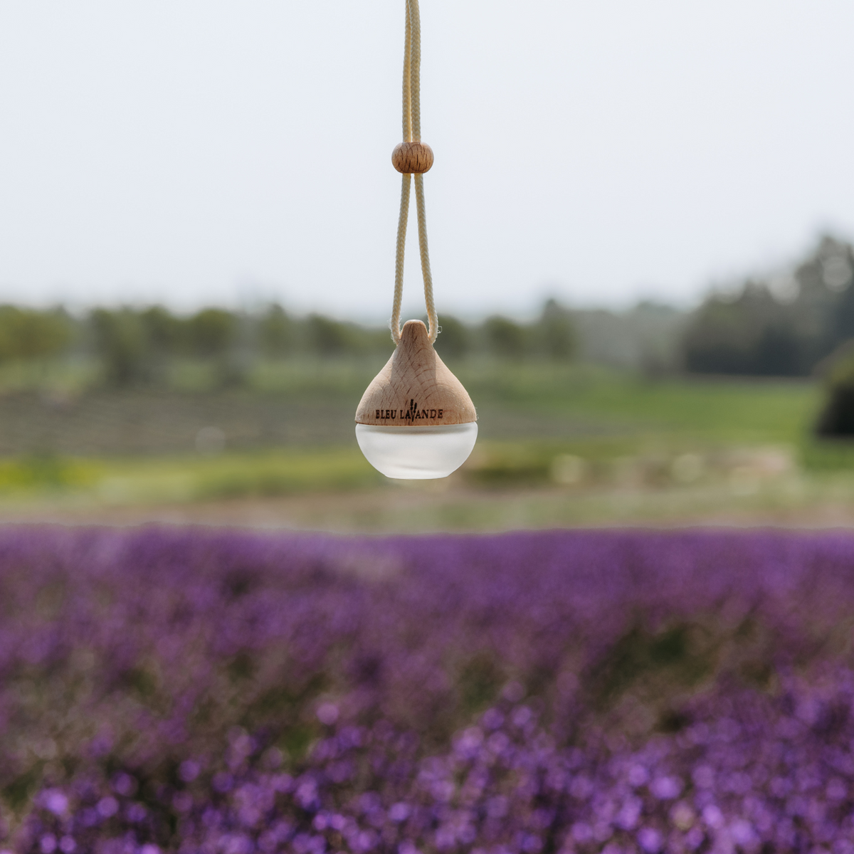 Petit diffuseur d'huiles essentielles Goutte dans les champs de Bleu Lavande à Magog, Québec, Canada